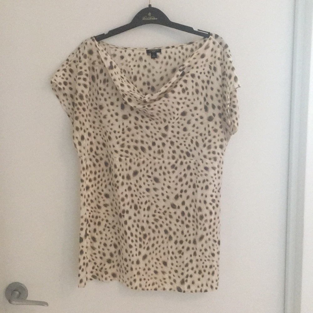 Ann Taylor silk shirt